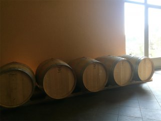 代理什么法国红酒的草莓视频大全适合